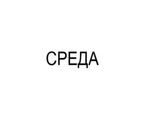 Товарный знак №1119544, принадлежит ИП Артюхов Роман Николаевич, ОГРНИП 322774600431370, ИНН 321500227683