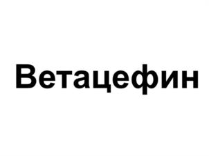 Товарный знак №1120869, принадлежит организации ОБЩЕСТВО С ОГРАНИЧЕННОЙ ОТВЕТСТВЕННОСТЬЮ "ВЕТПРОМ.РУ", ОГРН 1227700618860, ИНН 9727010262