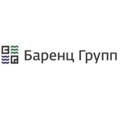 Товарный знак №1121855, принадлежит организации Общество с ограниченной ответственностью "ДСК Инвест", ОГРН 1181001009243, ИНН 1001337400