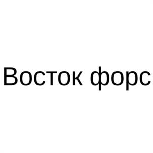 Товарный знак №1123363, принадлежит организации Общество с ограниченной ответственностью "ВОСТОК ФОРС", ОГРН 1222500000612, ИНН 2540266190