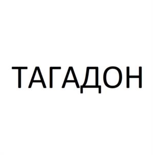 Товарный знак №1125314, принадлежит организации Общество с ограниченной ответственностью "ТАМИРИС", ОГРН 1021500576921, ИНН 1501007947