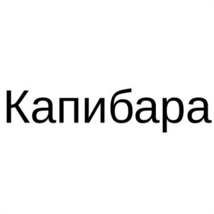 Товарный знак №1125983, принадлежит ИП Сарычев Николай Владимирович, ОГРНИП 318619600190267, ИНН 616483771806