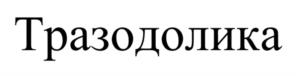 Товарный знак №1126141, принадлежит организации Акционерное общество «Отисифарм», ОГРН 1135047014145, ИНН 5047149534