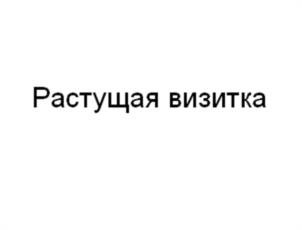 Товарный знак №1128473, принадлежит ИП Пашин Игорь Александрович, ОГРНИП 311131417800029, ИНН 131401312201