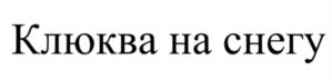 Товарный знак №1130873, принадлежит организации Общество с ограниченной ответственностью «ВС-ГРУПП», ОГРН 1146952009918, ИНН 6950182014