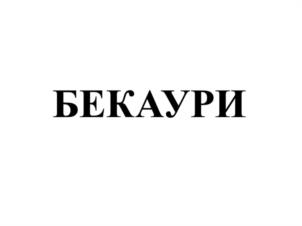 Товарный знак №1130925, принадлежит ИП БЕКАУРИ ТАМАЗ РОБЕРТОВИЧ, ОГРНИП 307366828100053, ИНН 366504571473