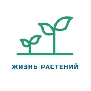 Товарный знак №1132058, принадлежит ИП Евдокимова Алла Николаевна, ОГРНИП 323470400100164, ИНН 632310674224