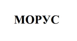 Товарный знак №1132461, принадлежит ИП Ширшов Андрей Юрьевич, ОГРНИП 320547600000909, ИНН 540698301059