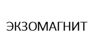 Товарный знак №1133748, принадлежит организации Общество с ограниченной ответственностью «Экзо Групп», ОГРН 1236300003356, ИНН 6320073224
