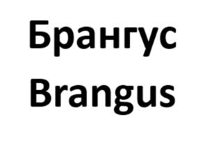 Товарный знак №1135201, принадлежит организации ОБЩЕСТВО С ОГРАНИЧЕННОЙ ОТВЕТСТВЕННОСТЬЮ НАУЧНО-ПРОИЗВОДСТВЕННАЯ КОМПАНИЯ "АСКОР", ОГРН 1070507004380, ИНН 507042505