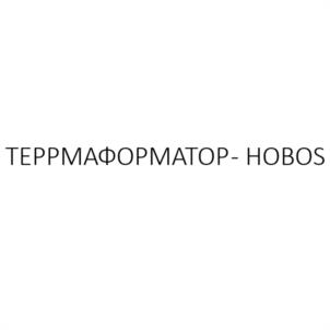 Товарный знак №1135334, принадлежит организации Общество с ограниченной ответственностью "ЛЕММО-ТОЙС", ОГРН 1154350009000, ИНН 4345426728