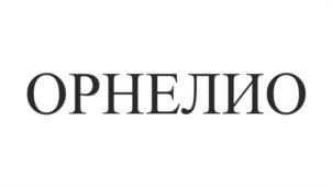 Товарный знак №1135523, принадлежит организации Общество с ограниченной ответственностью "Кофейная коллекция", ОГРН 1167746821901, ИНН 9729023852