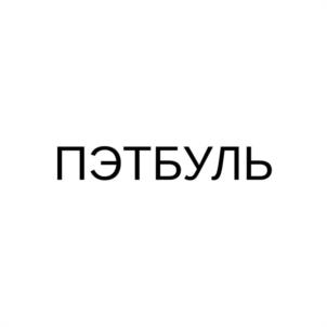 Товарный знак №1135524, принадлежит организации Общество с ограниченной ответственностью "ПЭТБУЛЬ", ОГРН 1176313044005, ИНН 6312172888