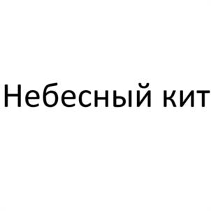 Товарный знак №1136367, принадлежит ИП Андронова Анастасия Михайловна, ОГРНИП 320527500064905, ИНН 592009783174