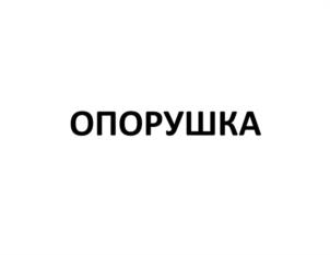 Товарный знак №1138561, принадлежит ИП Надточий Михаил Юрьевич, ОГРНИП 319784700048591, ИНН 781614178608