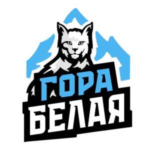 Товарный знак №1138969, принадлежит организации Государственное автономное учреждение Свердловской области "ГОРНОЛЫЖНЫЙ КОМПЛЕКС "ГОРА БЕЛАЯ", ОГРН 1076623007185, ИНН 6623043324