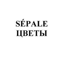 Товарный знак №1139130, принадлежит ИП Шевченко Виолетта Витальевна, ОГРНИП 320237500343651, ИНН 561213561886