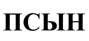 Товарный знак №1139357, принадлежит ИП Силаев Дмитрий Сергеевич, ОГРНИП 311774619300942, ИНН 771871458666