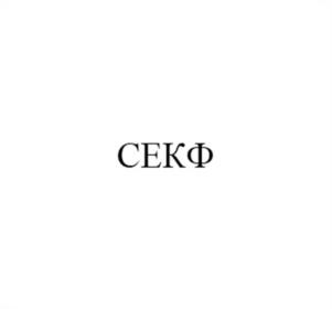 Товарный знак №1139738, принадлежит организации Акционерное общество «Научно-исследовательский институт вычислительных средств «Спектр», ОГРН 1027804868134, ИНН 7810230460