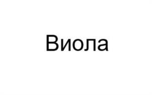 Товарный знак №1139788, принадлежит организации Общество с ограниченной ответственностью "Парикмахерская "Виола", ОГРН 1030204436492, ИНН 277003481
