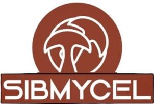 Товарный знак №1140439, принадлежит организации Общество с ограниченной ответственностью «Сибирский Мицелий», ОГРН 1225400036267, ИНН 5473005607