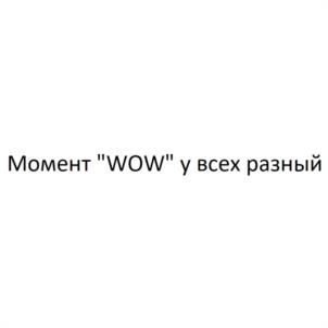 Товарный знак №1140831, принадлежит организации Общество с ограниченной ответственностью "ВИН ЭНД ТРЭВЕЛ", ОГРН 1204100004184, ИНН 4101194007