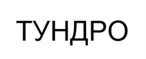 Товарный знак №1142174, принадлежит ИП Тумин Евгений Владимирович, ОГРНИП 322344300051930, ИНН 343522252351