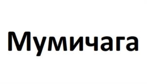 Товарный знак №1143312, принадлежит ИП Арсенин Сергей Владимирович, ОГРНИП 307503125500015, ИНН 503113084000