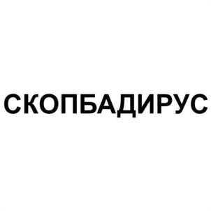 Товарный знак №1143506, принадлежит организации Общество с ограниченной ответственностью "Гигиена плюс", ОГРН 1074703000613, ИНН 4703092771