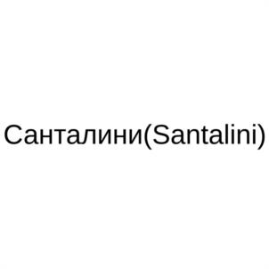 Товарный знак №1145500, принадлежит организации Общество с ограниченной ответственностью "ВЕКТОР", ОГРН 1082308008254, ИНН 2308147673
