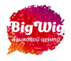 Товарный знак №1146797, принадлежит организации Общество с ограниченной ответственностью "Бигвиг", ОГРН 1227700188781, ИНН 9702041798