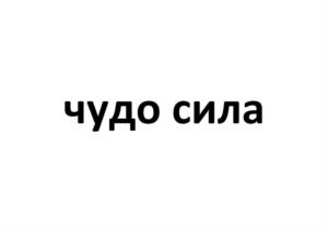 Товарный знак №1147618, принадлежит правообладателю Симонова Надежда Владимировна, ОГРН 0, ИНН 691102083273