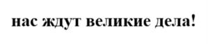 Товарный знак №1149352, принадлежит правообладателю Царев Артем Валерьевич, ОГРН 0, ИНН 253700547641