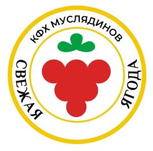 Товарный знак №1150490, принадлежит ИП Муслядинов Сулейман Ризаевич, ОГРНИП 324911200032089, ИНН 165500199264
