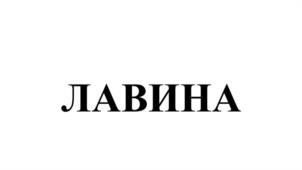Товарный знак №1152030, принадлежит организации Общество с ограниченной ответственностью «ГРОДЕКС», ОГРН 1232600010939, ИНН 2628062002