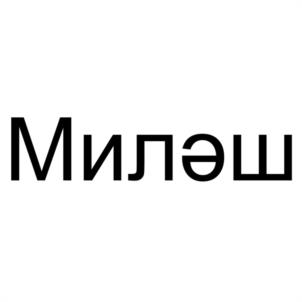 Товарный знак №1152466, принадлежит правообладателю Валишов Рустам Дамирович, ОГРН 0, ИНН 300802529301