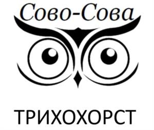 Товарный знак №1154246, принадлежит организации ОБЩЕСТВО С ОГРАНИЧЕННОЙ ОТВЕТСТВЕННОСТЬЮ "СОВО-СОВА", ОГРН 1147847550069, ИНН 7801203407