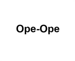 Товарный знак №1155042, принадлежит организации Общество с ограниченной ответственностью  «Дэлис», ОГРН 1197746201399, ИНН 7743295847