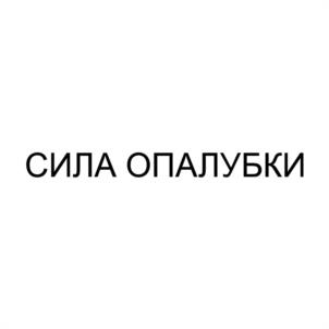 Товарный знак №1155453, принадлежит ИП Сапожников Евгений Львович, ОГРНИП 322745600095523, ИНН 744808204825