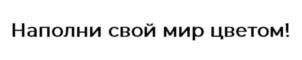 Товарный знак №1157332, принадлежит организации ОБЩЕСТВО С ОГРАНИЧЕННОЙ ОТВЕТСТВЕННОСТЬЮ "НОВЫЙ ДОМ", ОГРН 1021801158774, ИНН 1831057110