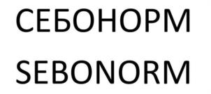 Товарный знак №1158264, принадлежит организации Акционерное общество "ЛЕОМАКС", ОГРН 1217700112464, ИНН 9703029063