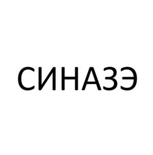 Товарный знак №1161014, принадлежит ИП Зязиков Руслан Багаудинович, ОГРНИП 309302329600030, ИНН 60304206918
