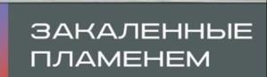 Товарный знак №1161411, принадлежит организации Общество с ограниченной ответственностью «Винзилинский завод керамических стеновых материалов», ОГРН 1147232044520, ИНН 7224054358