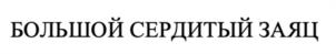 Товарный знак №1161978, принадлежит ИП Ахмадуллин Шамиль Тагирович, ОГРНИП 315169000022351, ИНН 165506134560