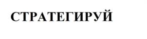 Товарный знак №1162409, принадлежит организации Общество с ограниченной ответственностью «Земля Стратега», ОГРН 1027806079696, ИНН 7811116418