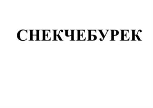 Товарный знак №1163660, принадлежит организации ОБЩЕСТВО С ОГРАНИЧЕННОЙ ОТВЕТСТВЕННОСТЬЮ "УРАЛО-СИБИРСКАЯ ПРОДОВОЛЬСТВЕННАЯ КОМПАНИЯ", ОГРН 1217400007846, ИНН 7449143670