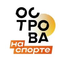 Товарный знак №1163991, принадлежит организации Общество с ограниченной ответственностью Специализированный застройщик "ПремиумСтрой", ОГРН 1114027001010, ИНН 4027102871