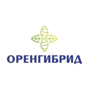 Товарный знак №1164973, принадлежит организации Общество с ограниченной ответственностью "ОРЕНГИБРИД", ОГРН 1145658003237, ИНН 5649020859