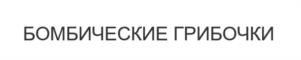 Товарный знак №1165409, принадлежит организации Общество с ограниченной ответственностью "Моджо", ОГРН 1217700435490, ИНН 9731083312