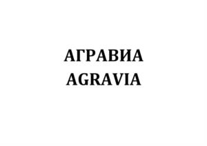 Товарный знак №1167298, принадлежит организации Общество с ограниченной ответственностью «Агрос Экспо Групп», ОГРН 1237700526909, ИНН 9707004831